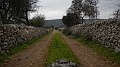 DSCN4186