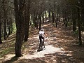 DSCN4816