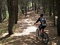 DSCN4817