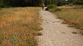 DSCN3174