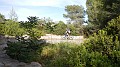 DSCN3189