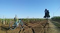 IMG_20150512_174654