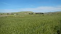 DSCN2014