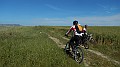 DSCN2017