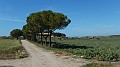 DSCN2024
