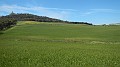 DSCN2038