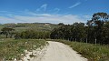 DSCN2040