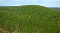 DSCN2061