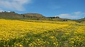DSCN2068