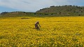 DSCN2072