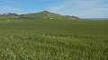 DSCN2079