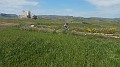 DSCN2081