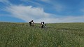 DSCN2082