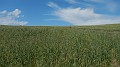 DSCN2083