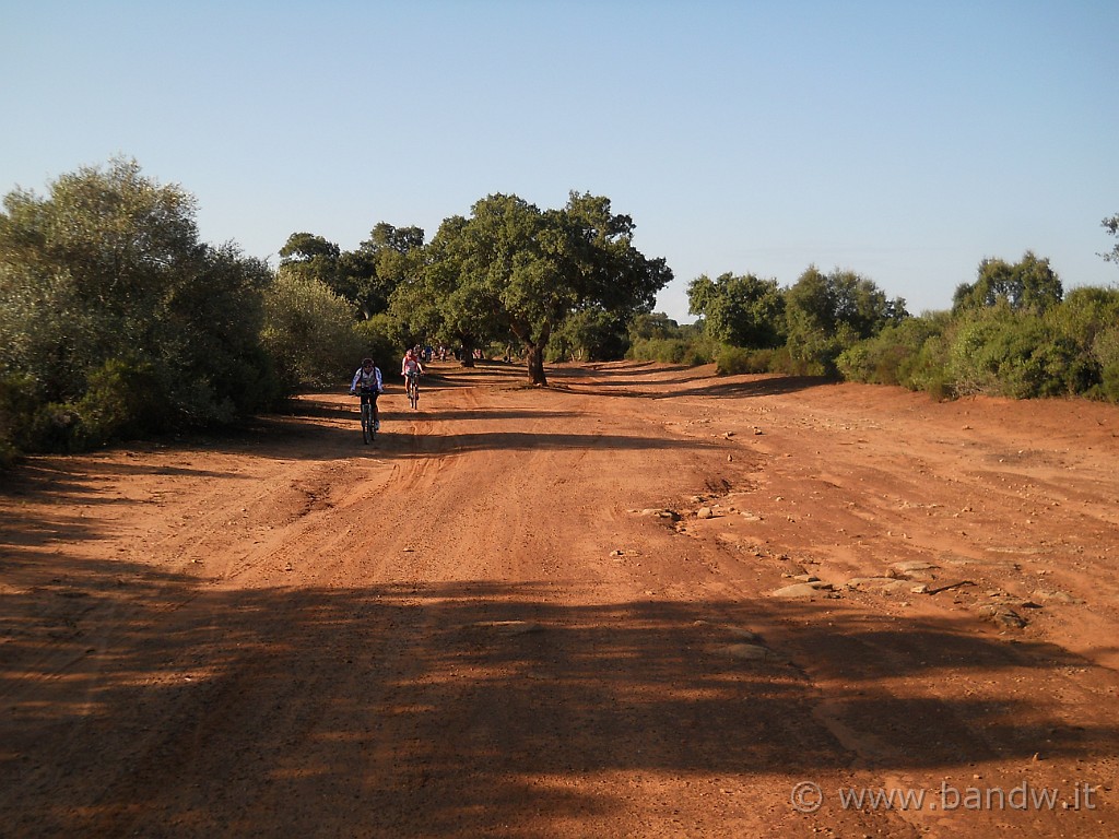 DSCN7915.JPG -           