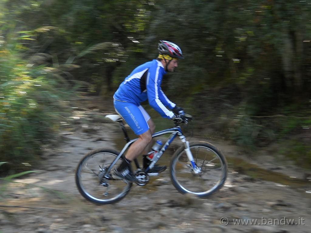 DSCN7991.JPG -           