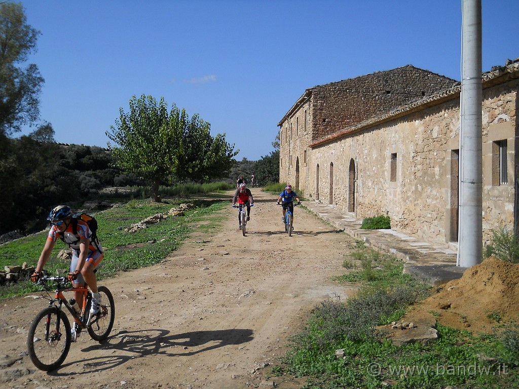 DSCN8018.JPG -           