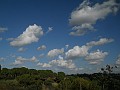 DSCN8091