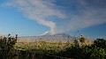 DSCN2660