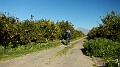 DSCN2672