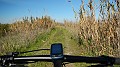 DSCN2674
