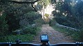 DSCN5769