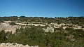 DSCN5771