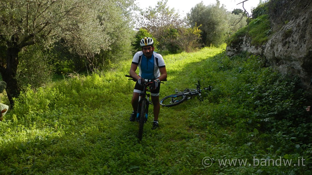 DSCN9439.JPG -                                
