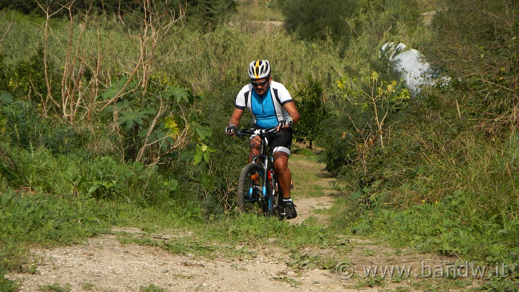 DSCN9510.JPG -                                
