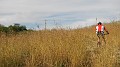 DSCN9450