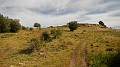 DSCN9483