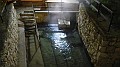 DSCN8657