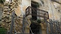 DSCN8698