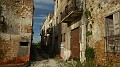 DSCN8703