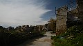 DSCN8729