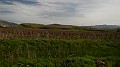 DSCN8736