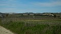 DSCN8741