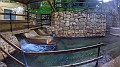 G4279370_1575748297022_high-01