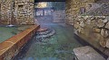 G4329467_1575748297022_high-01