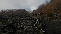 DSCN4301