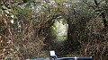 DSCN4330