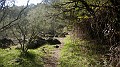 DSCN4331