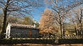 DSCN4339