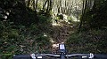 DSCN4344