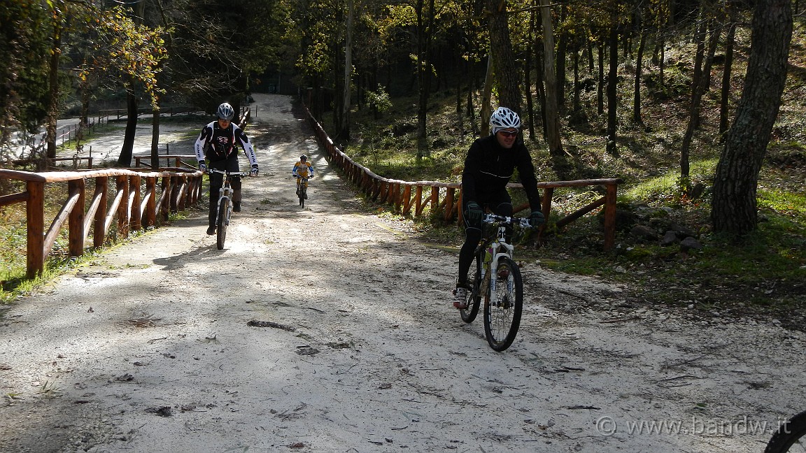 DSCN0181.JPG -                                