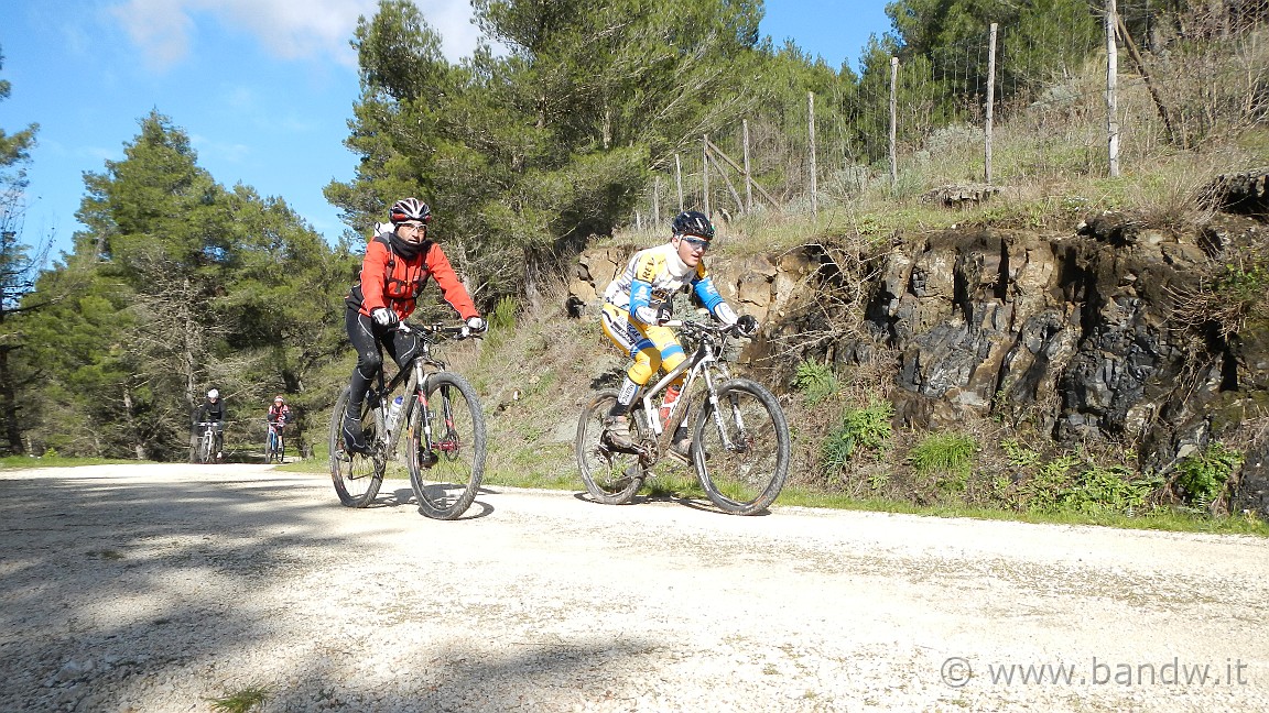 DSCN0194.JPG -                                