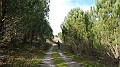 DSCN0172