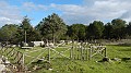 DSCN0188