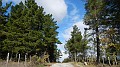 DSCN0198