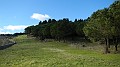 DSCN0204
